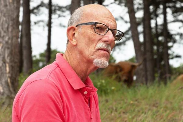 Homem aposentado sênior com barba e óculos na floresta com scottis — Fotografia de Stock