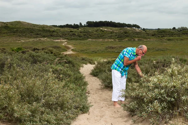 Pensionerad äldre man med skägg och glasögon utomhus på gräs dune — Stockfoto