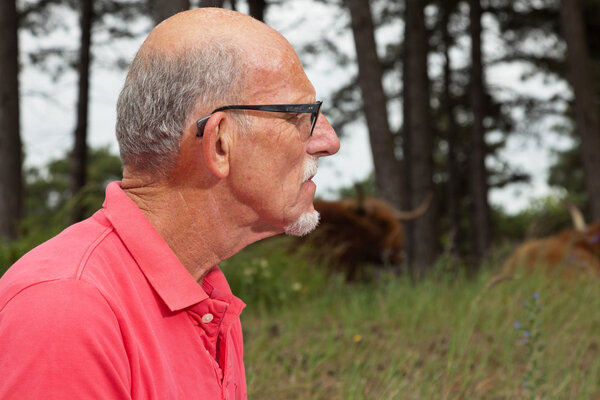 Старший пенсионер с бородой и очками в лесу со Скоттисом
