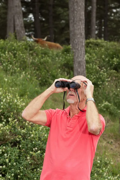 Hombre jubilado mayor con barba usando prismáticos al aire libre. Usar —  Fotos de Stock