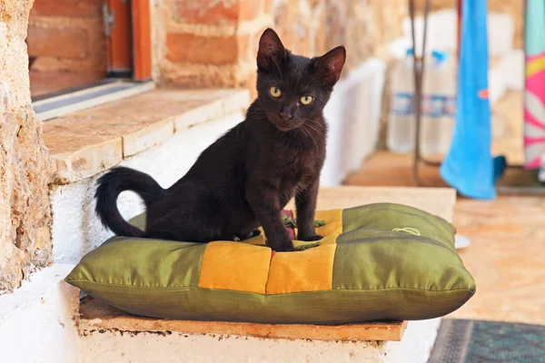 Gatinho de rua preto curioso brincalhão no travesseiro ao ar livre. Corfu. G — Fotografia de Stock