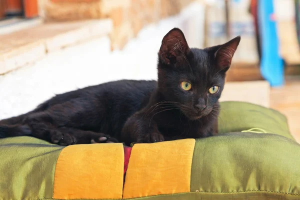 Juguetón curioso gatito callejero negro en la almohada al aire libre. Corfú. G — Foto de Stock