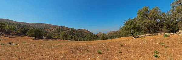 Panoramische opname van prachtige natuur landschap met gele gras en groene bomen. eiland Corfu. Griekenland. — Stockfoto