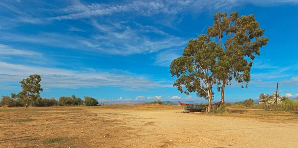 Paysage sablonneux de campagne panoramique avec des arbres et un bois — Photo