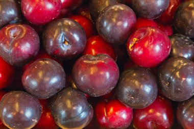 bir avuç taze Erik.