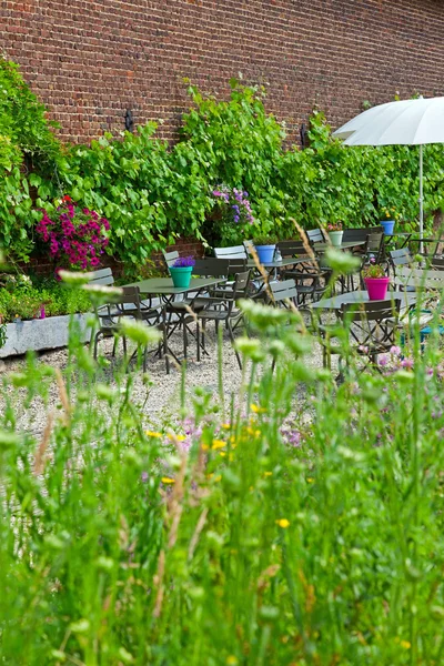 Flowers in garden with green foliage and brick wall of a house. — Stock Photo, Image