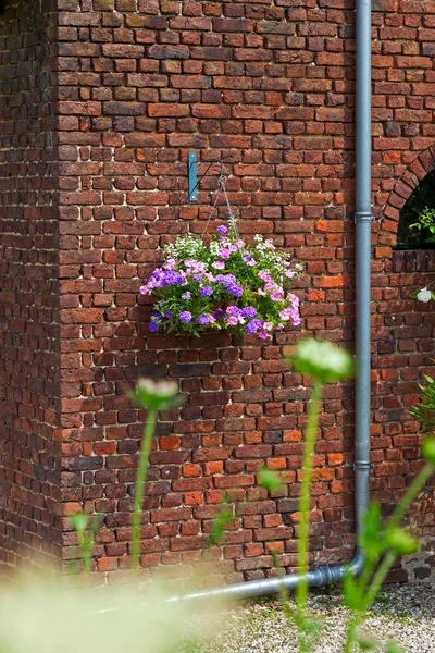 Panier avec des fleurs roses accrochées au mur de briques. Maison et jardin — Photo