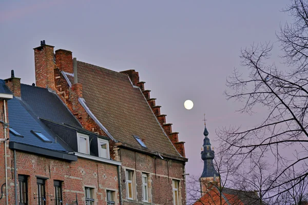 Alte Häuser mit Kirche und Bäumen im Mondaufgang. mechelen. Belgien. — Stockfoto