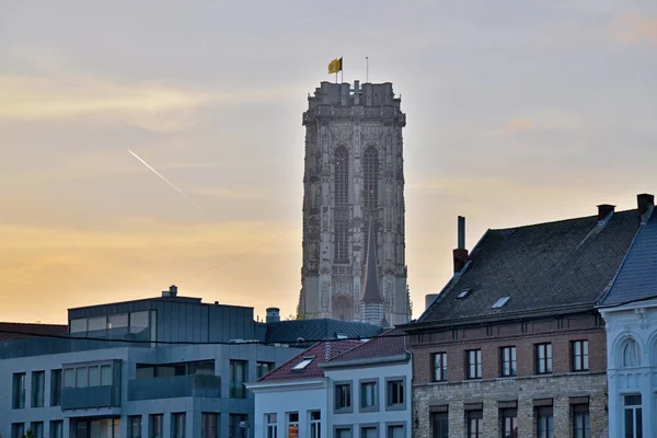 Sint-rombout πύργος με σπίτια μπροστά στο ηλιοβασίλεμα. Mechelen. Bel — Φωτογραφία Αρχείου