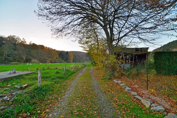 農村部の秋の風景の道。古い木の小屋. — ストック写真
