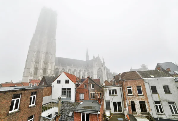 Sint-rombout kerk in de mist met huizen op de voorgrond. Mechelen. — Stockfoto