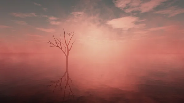 Toter Baum in nebelverhangenem See mit bewölktem Himmel bei Sonnenaufgang. panoramischer sch — Stockfoto