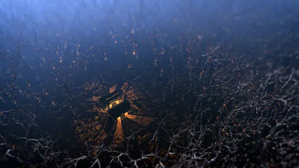 Воздух удаленной деревянной хижины в туманном ландшафте с мертвыми деревьями — стоковое фото