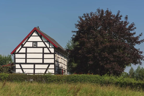 Křovák Historickým Bílým Polodřevěným Statkem Stromem Pod Modrou Oblohou Slunečného — Stock fotografie