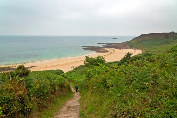 Tourist walking down stairs with ferns to the beach of Erquy. Br — Stock Photo, Image