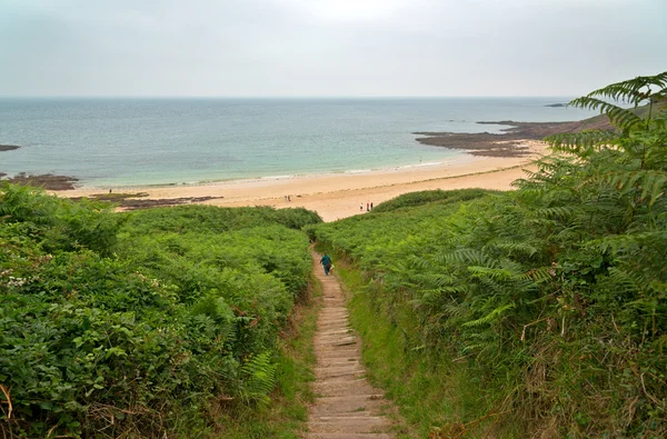 Tourist walking down stairs with ferns to the beach of Erquy. Br — Stock Photo, Image