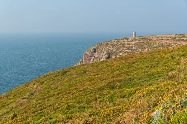 Cliffs with flowers and old tower at the Cape of Frehel. Brittan — Stock Photo, Image