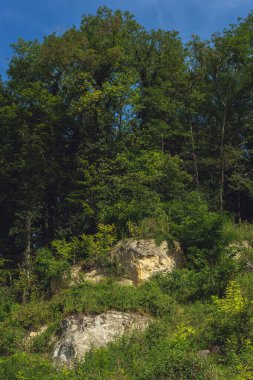 Marlstone tepesi, açık mavi gökyüzü ve güneşli bir arazide çimen ve ağaçlarla kaplıydı..