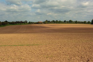 Çayırları, ağaçları ve mavi bulutlu gökyüzünün altında bir evi olan, benekli güneş ışığıyla çıplak bir arazide yuvarlanan bir manzara..