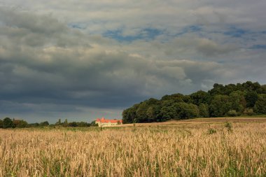 Bir tahıl tarlası, ağaçlar ve bulutlu bir gökyüzünün altında güneş ışığında bir kır evi olan yuvarlanan bir manzara..