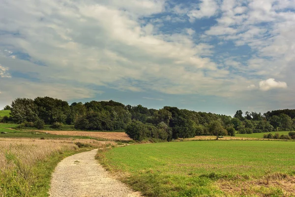 Verschlungener Feldweg Zwischen Feldern Einer Hügeligen Sommerlandschaft Unter Blauem Bewölkten — Stockfoto