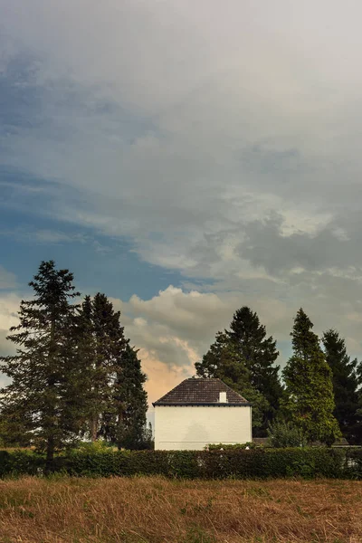 在蓝天下的田野里 树木丛生的白色乡村房屋 — 图库照片