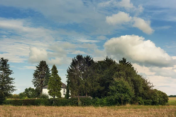Bílý Venkovský Dům Mezi Stromy Poli Pod Modrou Oblačnou Oblohou — Stock fotografie