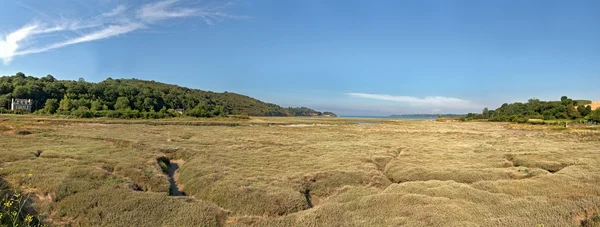 Sahil panoramik çim manzara mavi gökyüzü ile. Brittany. Frangı — Stok fotoğraf