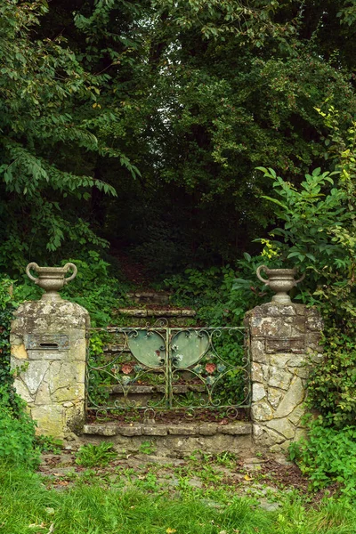 階段のある古い放置された前庭の門高密度に成長した斜面に対して — ストック写真
