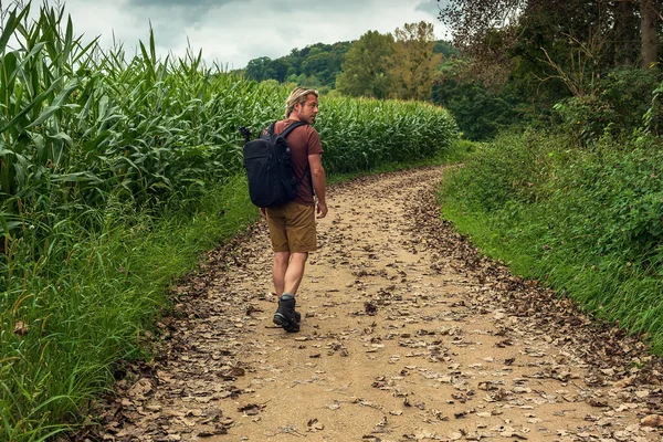 Uomo Con Capelli Biondi Barba Stoppa Cammina Sentiero Tra Campo — Foto Stock