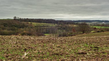 Tarım arazileri ve gri bulutlu gökyüzünün altında çıplak ağaçlarla kaplı tepe manzarası.
