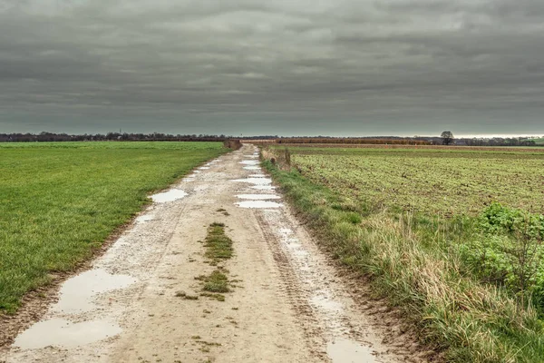 Sandy Path Puddles Water Rural Landscape Grey Cloudy Sky — Stock Photo, Image