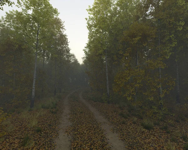 Dirt Road Tire Tracks Fallen Leaves Autumn Forest Misty Morning — 图库照片