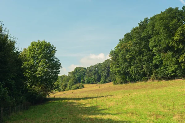 Rollende Landschaft Mit Wiesen Und Bäumen Unter Blauem Bewölkten Himmel — Stockfoto