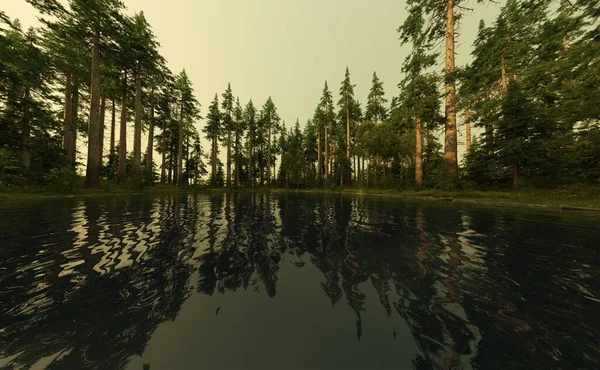 Lac Dans Une Forêt Pins Coucher Soleil Rendu — Photo