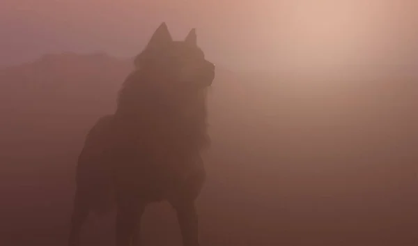 Волк Туманном Скалистом Пейзаже Рассвете Рендеринг — стоковое фото