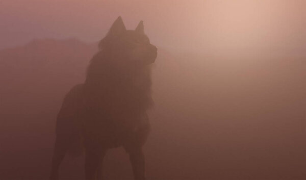 Wolf in a misty rocky landscape at sunrise. 3D render.