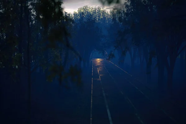 Empty Misty Road Autumn Forest Leading Tunnel High Angle View — Stock Photo, Image