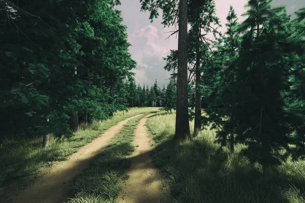 Dirt Road Sunny Woodland Firs Cloudy Sky Render — Stock Photo, Image