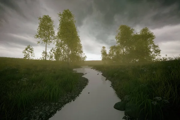 Bulutlu Bir Gökyüzünün Altında Küçük Bir Nehir Huş Ağaçları Olan — Stok fotoğraf