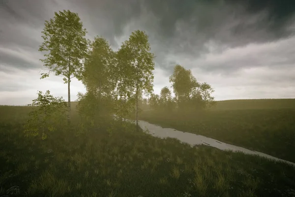 Platteland Met Een Riviertje Berkenbomen Onder Een Bewolkte Hemel Weergave — Stockfoto