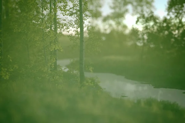 草や白樺と霧の川の銀行 3Dレンダリング — ストック写真