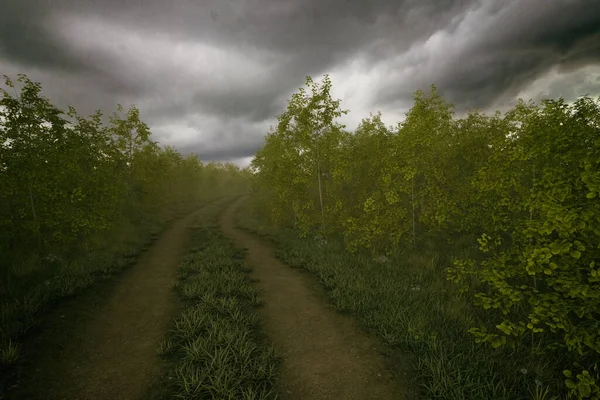 在雾蒙蒙的森林里 一条车辙斑斑的小路 在多云的天空下 长满了桦树 3D渲染 — 图库照片