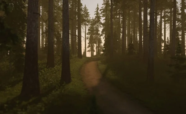 Lkbaharda Güneşin Doğuşunda Sisli Köknar Ormanında Yol Boyutlu Hazırlama — Stok fotoğraf