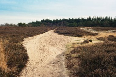 Geniş bir bozkırda kışın doğa koruma alanında yürüyüş yapmak..