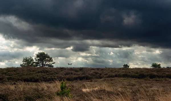 Reserva Natural Com Pinheiros Arbustos Urze Helicóptero Chinook Céu — Fotografia de Stock