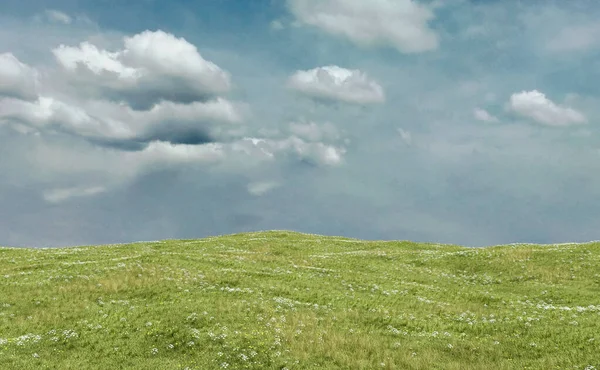 Rolling Landscape Grassland Daisies Blue Cloudy Sky Render — Stock Photo, Image