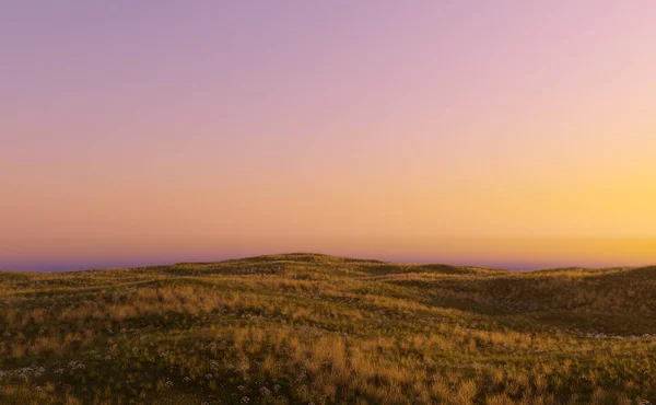 Heuvels Met Grasland Madeliefjes Bij Zonsondergang Weergave — Stockfoto