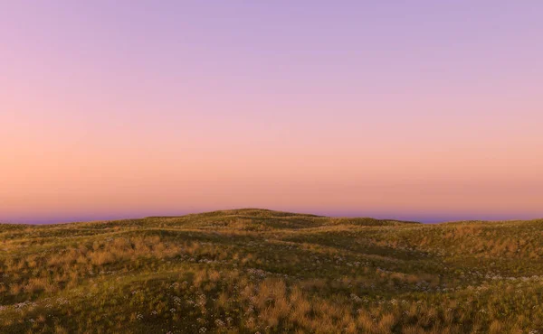 Kullar Med Gräsmark Och Prästkragar Vid Solnedgången Återgivning — Stockfoto