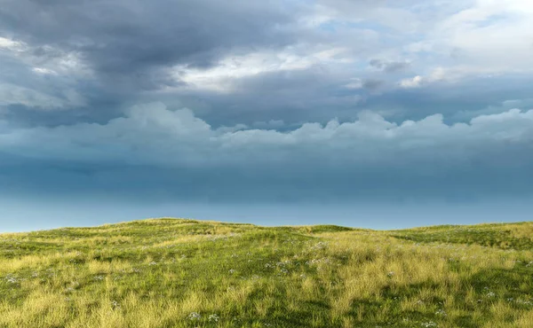 Rullande Landskap Med Gräsmark Och Prästkragar Molnig Himmel Återgivning — Stockfoto